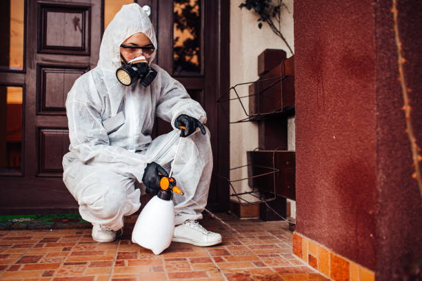 Reliable Ant Control contractor in Underwood-Petersville, AL by Show Me Pest Control